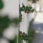 Διαμέρισμα Apeiron - Apeiron *