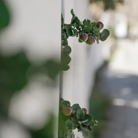 Appartamento Apeiron *