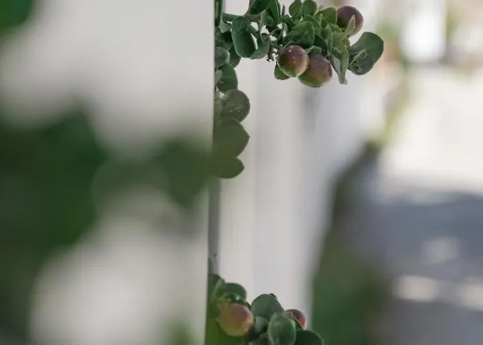 Apartmán Apeiron - Apeiron *