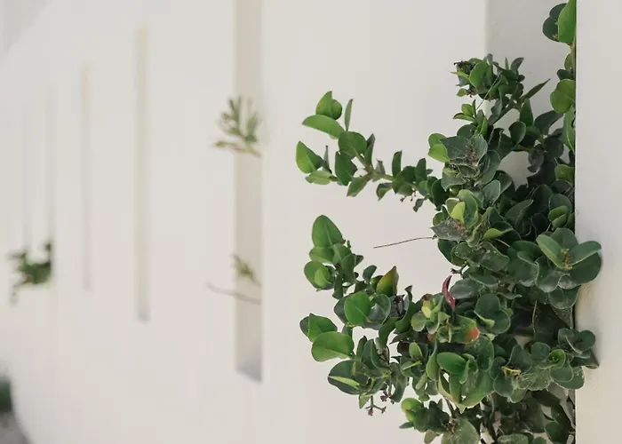 Apeiron - Apeiron Lejlighed *