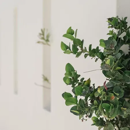 Apeiron Appartement *